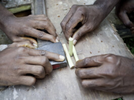 Face-o-mat by Tobias Gutmann, Wamangu, Papua New Guinea Tobias Gutmann - Face-o-mat / Sai Bot