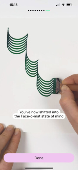 Face-o-mat Portrait App, by Tobias Gutmann Tobias Gutmann - Face-o-mat / Sai Bot